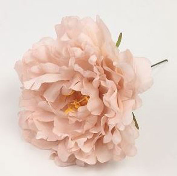 小さな牡丹。フラミンゴの花。化粧。 11cm